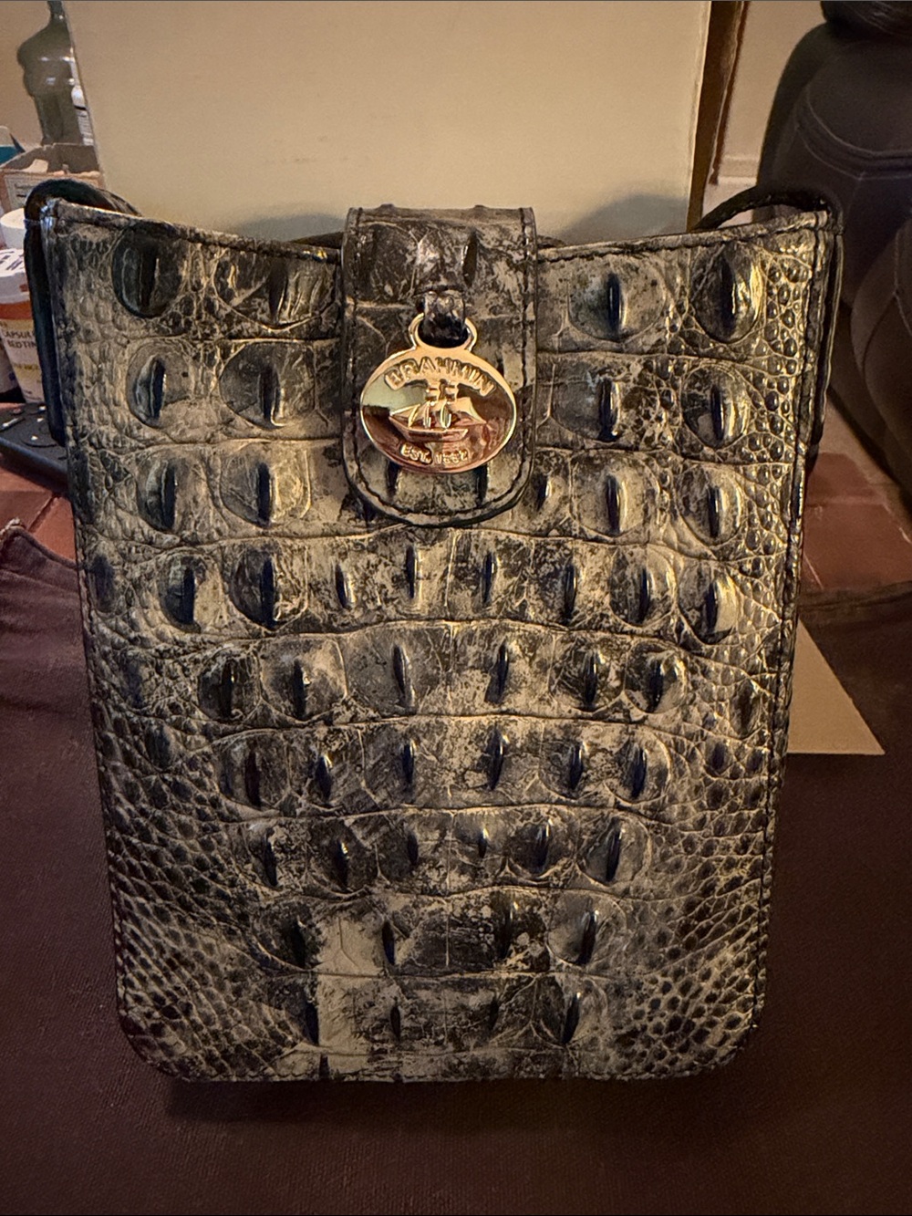 Brahmin Croc-Embossed Leather Small Crossbody in Black and Silver